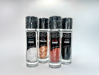 Collection 4 sels du monde