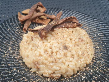 Moulin Eclats de Cèpes